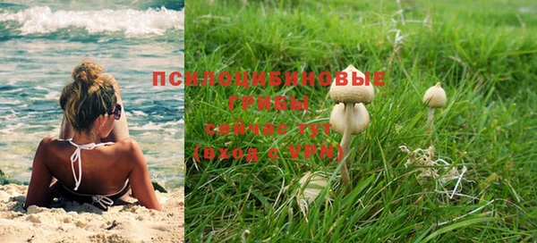 мет Арсеньев