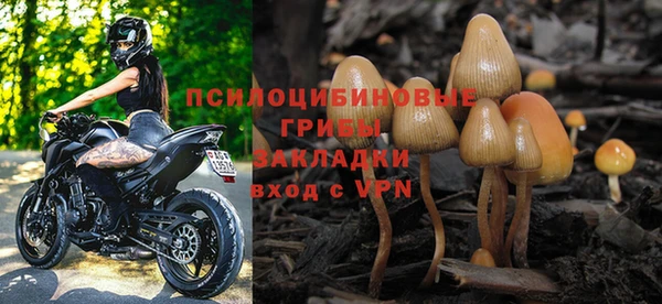 мет Арсеньев