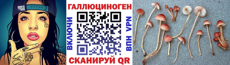 сколько стоит  Сокол  OMG ссылки  маркетплейс телеграм  Галлюциногенные грибы Magic Shrooms 