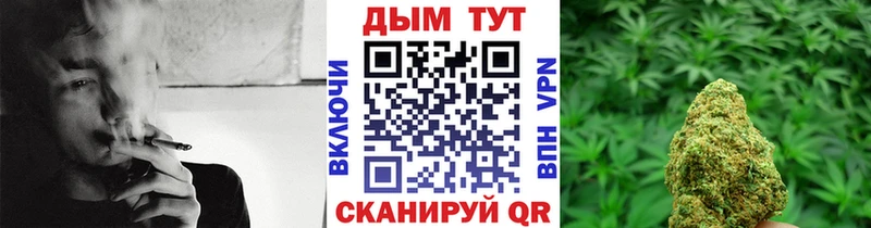 Марихуана планчик  Сокол 